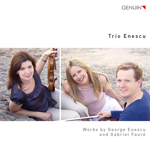 Imagen de apoyo de  ENESCU, G.: Piano Trio / Sérénade lointaine / FAURÉ, G.: Piano Trio in D Minor (Trio Enescu)
