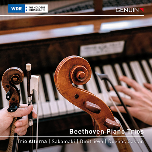 Imagen de apoyo de  BEETHOVEN, L.: Piano Trios Nos. 4-6 (Trio Alterna)