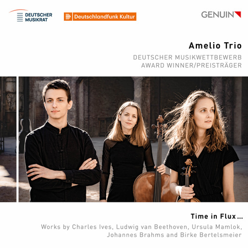 Imagen de apoyo de  Piano Trios - IVES, C. / BEETHOVEN, L. van / MAMLOK, U. / BRAHMS, J. / BERTELSMEIER, B. (Time in Flux …) (Amelio Trio)