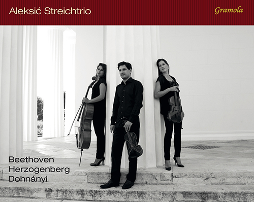 Imagen de apoyo de  String Trios - BEETHOVEN, L. van / HERZOGENBERG, H. von / DOHNÁNYI, E. (Aleksić String Trio)