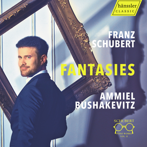 Imagen de apoyo de  SCHUBERT, F.: Piano Works, Vol. 2 - Fantasies (Bushakevitz)
