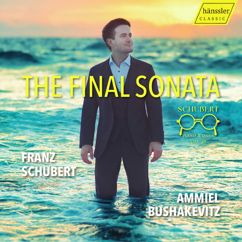 Imagen de apoyo de  SCHUBERT, F.: Piano Works, Vol. 3 - The Final Sonata (Bushakevitz)
