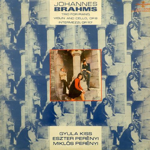 Imagen de apoyo de  BRAHMS, J.: Piano Trio No. 1 / 3 Intermezzos, Op. 117 (G. Kiss, E. and M. Perényi)