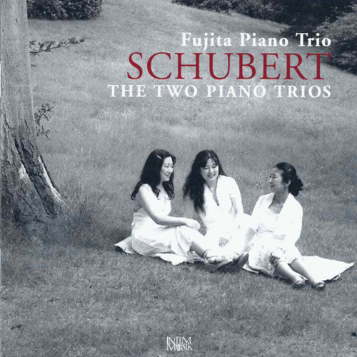 Imagen de apoyo de  SCHUBERT, F.: Piano Trios Nos. 1 and 2 (The Two Piano Trios) (Fujita Piano Trio)
