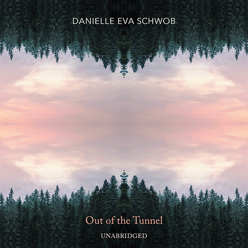 Imagen de apoyo de  SCHWOB, D.E.: Out of the Tunnel / Breathing Underwater / Shiver (Joachim, Boyar, A. Jackson, Jennifer Choi, O. Weiss, PUBLIQuartet)