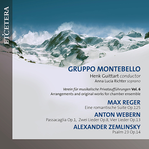 Imagen de apoyo de  Chamber Music (20th Century) - REGER, M. / WEBERN, A. / ZEMLINSKY, A. (Verein für musikalische Privataufführungen, Vol. 6) (A.L. Richter, Guittart)
