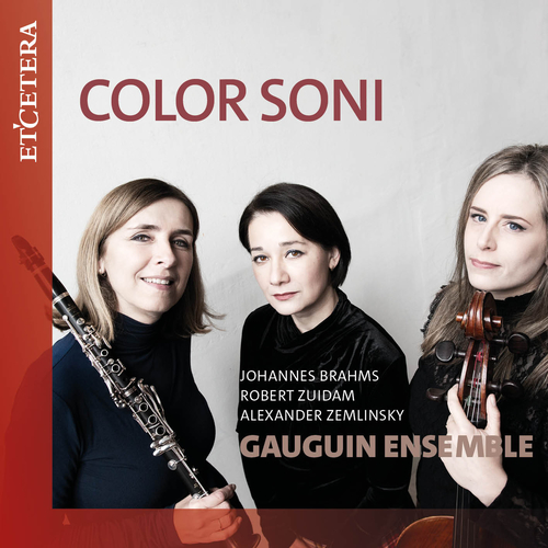 Imagen de apoyo de  BRAHMS, J.: Clarinet Trio, Op. 114 / ZUIDAM, R.: Arearea / ZEMLINSKY, A.: Trio for Clarinet, Cello and Piano, Op. 3 (Color Soni) (Gauguin Ensemble)
