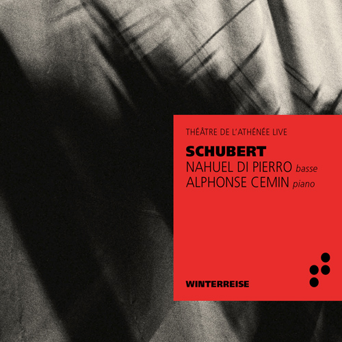 Imagen de apoyo de  SCHUBERT, F.: Winterreise (Pierro, Cemin)