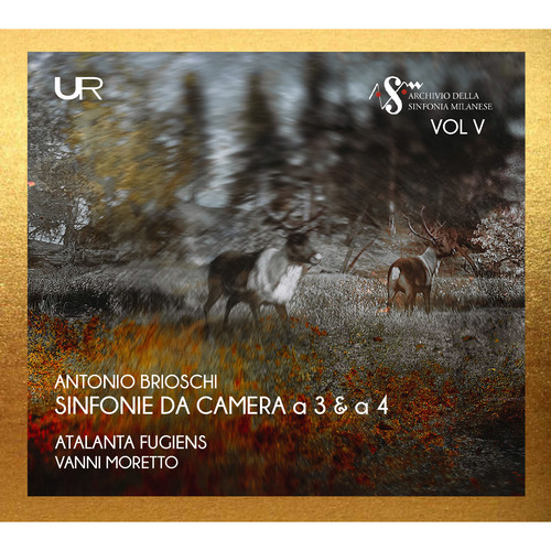 Imagen de apoyo de  BRIOSCHI, A.: Sinfonie da Camera a 3 and a 4 (Atalanta Fugiens Orchestra)