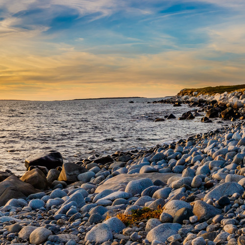 Imagen de apoyo de  BELA STRING QUARTET