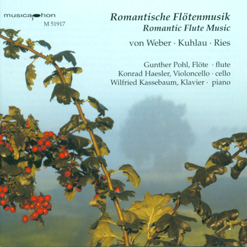 Imagen de apoyo de  WEBER, C.M. von: Flute Trio, Op. 63 / RIES, F.: Flute Sonata, Op. 169 / KUHLAU, F.: Variations, Op. 63 (Pohl, Haesler, Kassebaum)