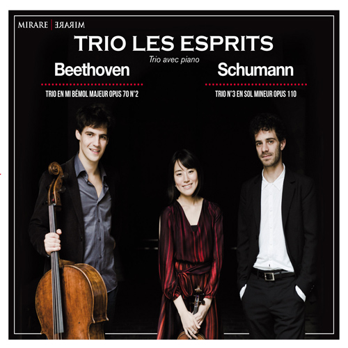 Imagen de apoyo de  BEETHOVEN, L. van: Piano Trio No. 6 / SCHUMANN, R.: Piano Trio No. 3 (Trio Les Esprits)