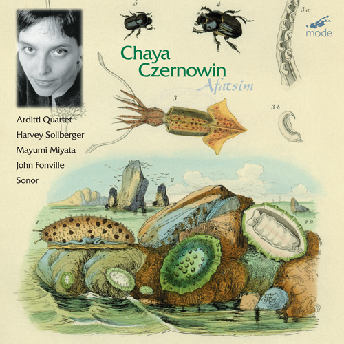 Imagen de apoyo de  CZERNOWIN, C.: Chamber Music (Afatsim) (Mayumi Miyata, Keizo Misoiri, Takashi Saito, Arditti String Quartet, Sonor Quartet, Sollberger)