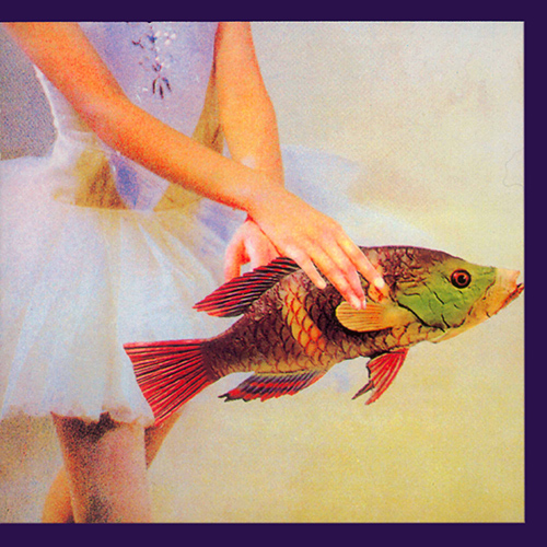 Imagen de apoyo de  BURKE, C.: Idioglossia (C. Burke, Milland)