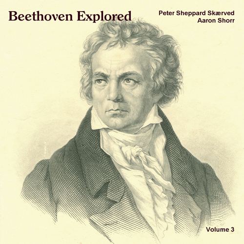Imagen de apoyo de  BEETHOVEN, L. van: Violin Sonatas Nos. 6, 7, 8 / CLEMENT, F.: Variations on Gretry's Barbe Bleu (Sheppard Skaerved, Shorr)(Beethoven Explored, Vol. 3)