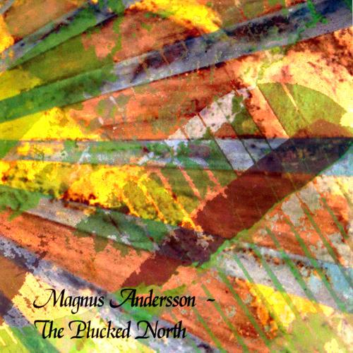 Imagen de apoyo de  Guitar Recital: Andersson, Magnus - MORTHENSON, J.W. / FORARE, E. / SUILAMO, H. / NILSSON, I. / GUDMUNDSEN-HOLMGREN, P. (The Plucked North)