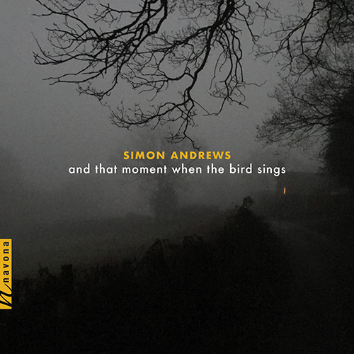 Imagen de apoyo de  ANDREWS, S.: And That Moment When the Bird Sings / My Dove, My Coney / Abiquiu Trio (Godin, Hall-Gulati, The Newstead Trio, Clavino Trio, S. Andrews)