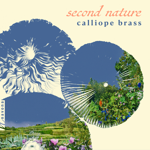 Imagen de apoyo de  Chamber Music (Brass) - JACOVINO, S. / OBA, Hitomi / SHEMARIA, R. / WEISS, J. / WIRSHBA, C.J. / YEE, L. (Second Nature) (Calliope Brass)
