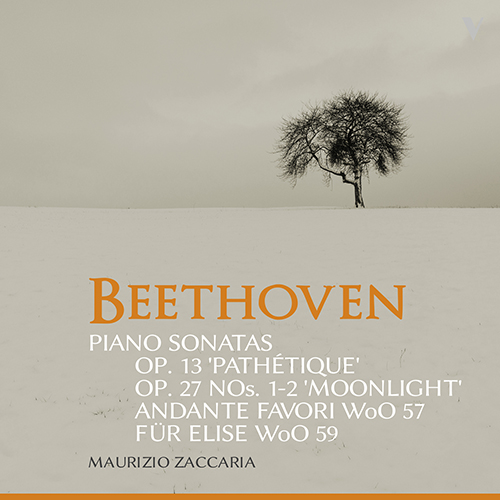 Imagen de apoyo de  BEETHOVEN, L. van: Piano Sonatas, Nos. 8, "Pathétique", 13 and 14, "Moonlight" / Andante favori / Bagatelle, "Für Elise" (M. Zaccaria)