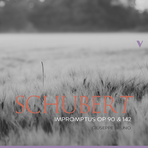 Imagen de apoyo de  SCHUBERT, F.: 4 Impromptus, Opp. 90 and 142 (G. Bruno)