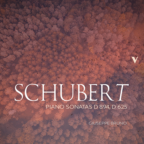 Imagen de apoyo de  SCHUBERT, F.: Piano Sonatas Nos. 12 and 18 (Bruno)