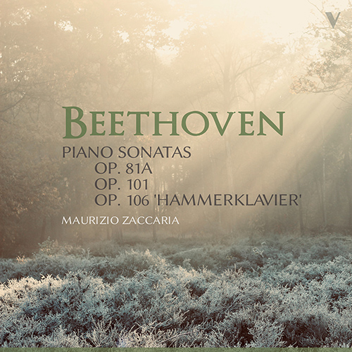 Imagen de apoyo de  BEETHOVEN, L. van: Piano Sonatas Nos. 26, 28 and 29, "Hammerklavier" (Zaccaria)