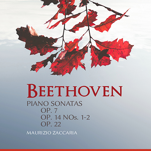 Imagen de apoyo de  BEETHOVEN, L. van: Piano Sonatas Nos. 4, 9, 10, 11 (Zaccaria)