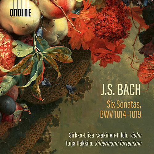 Imagen de apoyo de  BACH, J.S.: Sonatas for Violin and Keyboard, BWV 1014-1019 (Kaakinen-Pilch, Hakkila)