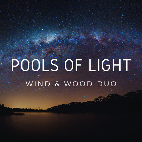 Imagen de apoyo de  Clarinet and Marimba Recital: Wind and Wood Duo - DAUGHTREY, N. / LARSEN, L. / MELLITS, M. (Pools of Light)