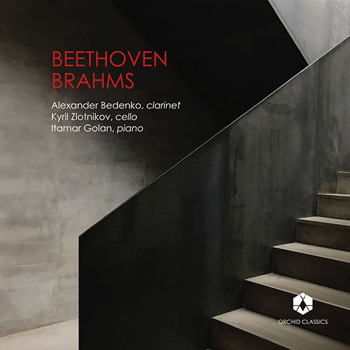Imagen de apoyo de  BEETHOVEN, L. van: Clarinet Trio, Op. 38 / BRAHMS, J.: Trio, Op. 114 (Bedenko, Zlotnikov, Golan)