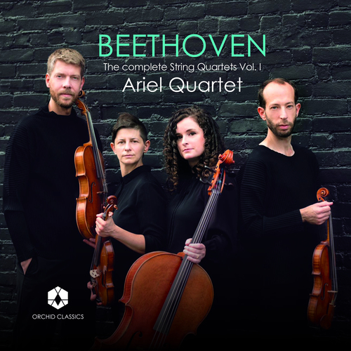 Imagen de apoyo de  BEETHOVEN, L. van: String Quartets (Complete), Vol. 1  - Nos. 1-6 (Ariel Quartet)
