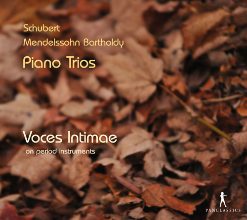 Imagen de apoyo de  SCHUBERT, F.: Piano Trios Nos. 1 and 2 / MENDELSSOHN, Felix: Piano Trios Nos. 1 and 2 (Voces Intimae Piano Trio)