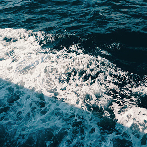 Imagen de apoyo de  ALDWIN: Leaves (The) / Judgement / Solemn (Aldwin)