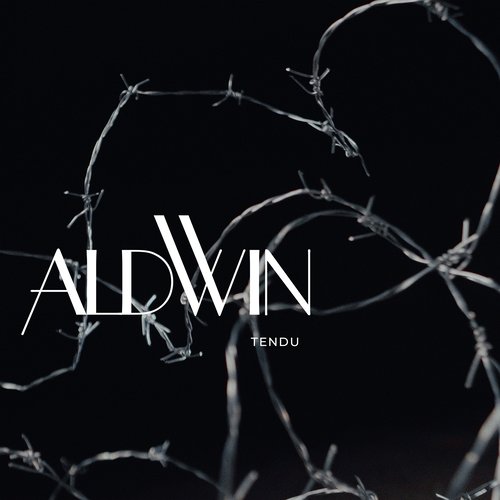 Imagen de apoyo de  ALDWIN: Tendu (Aldwin)