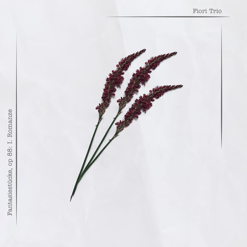 Imagen de apoyo de  SCHUMANN, R.: Fantasiestücke, Op. 88: No. 1. Romanze (Fiori Trio)