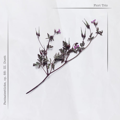 Imagen de apoyo de  SCHUMANN, R.: Fantasiestücke, Op. 88: No. 3. Duett (Fiori Trio)