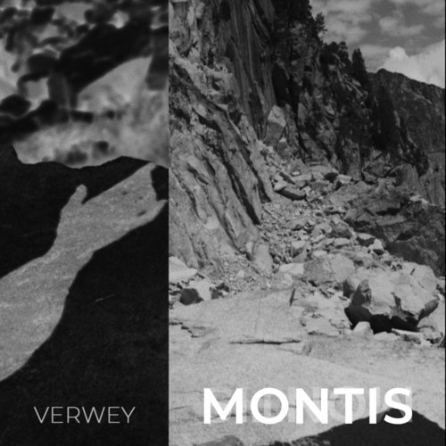 Imagen de apoyo de  VERWEY, Erik: Montis