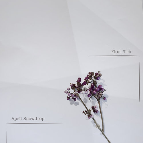 Imagen de apoyo de  MARLENE, E.: April Snowdrop (Fiori Trio)