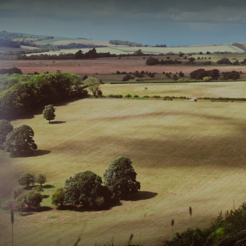 Imagen de apoyo de  GERARDS, Ruben: Last Dance