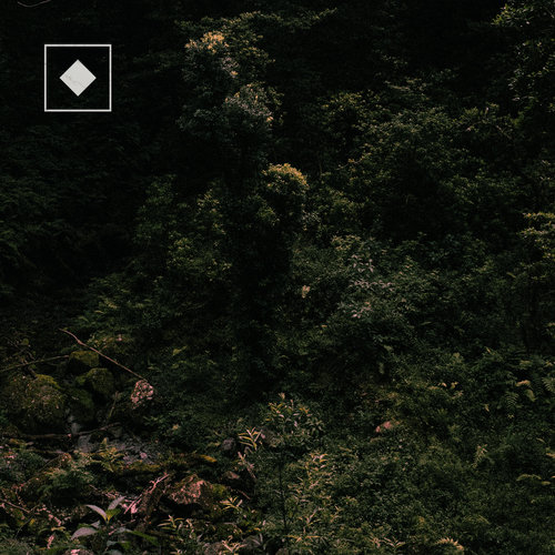 Imagen de apoyo de  LO.FLYNN: Love in a Mist (Lo.Flynn)