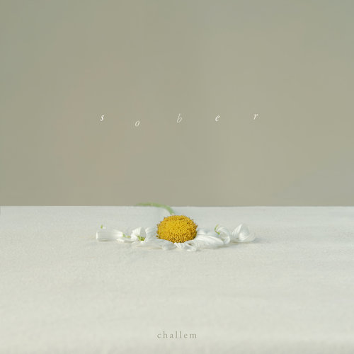 Imagen de apoyo de  CHALLEM: Sober (Challem)