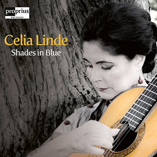 Imagen de apoyo de  Guitar Music - LINDE, C. / BROUWER, L. / GUBAIDULINA, S. / MEYERS, S. (Shades in Blue) (Linde, Colina, Barbosa-Lima)