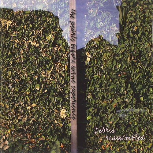 Imagen de apoyo de  Chamber Music - STRINDBERG, H. / HEDELIN, F. / ELGH, C. / HEDAS, K. / PETERSON, M. (Debris reassembled) (the pearls before the swine experience)