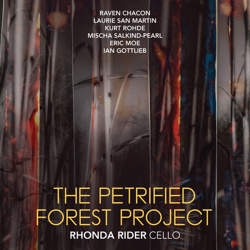 Imagen de apoyo de  Cello Recital: Rider, Rhonda - CHACON, R. / SAN MARTIN, L. / ROHDE, K. / SALKIND-PEARL, M. / MOE, E. / GOTTLIEB, I. (The Petrified Forest Project)