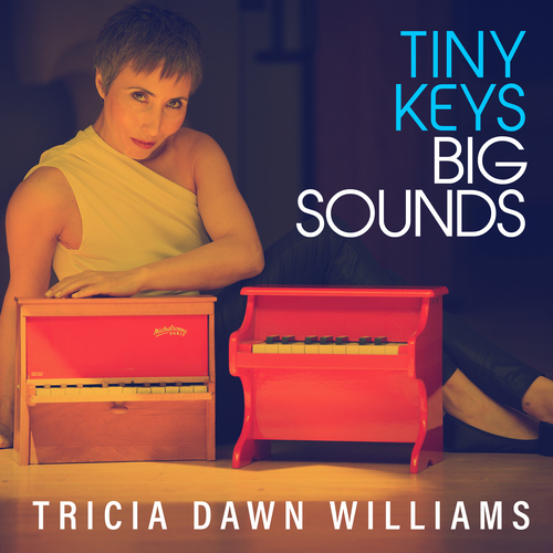 Imagen de apoyo de  Toy Piano Recital: Williams, Tricia Dawn - CASSAR-CORDINA, M. / CAUCHI, D. / EDLIN, P.M. / GARZIA, A. (Tiny Keys Big Sounds)