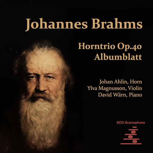Imagen de apoyo de  BRAHMS, J.: Trio for Violin, Horn and Piano / Albumblatt (Ahlin, Magnusson, Wärn)