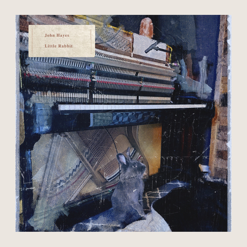 Imagen de apoyo de  HAYES, J.: Little Rabbit (Hayes)