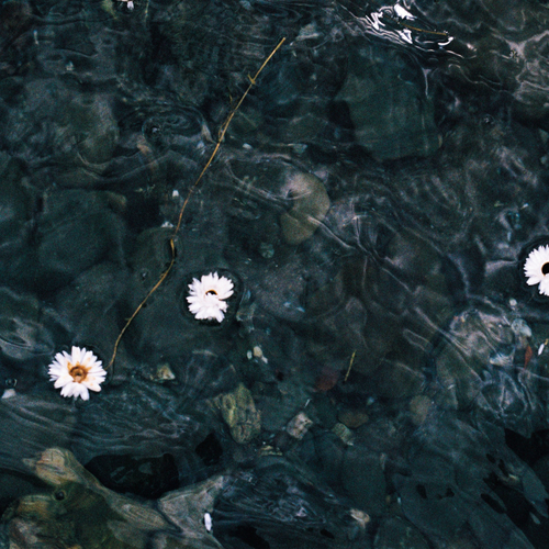 Imagen de apoyo de  DÍAZ DE ROJAS, S.: Luna Llena (Díaz de Rojas)