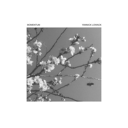 Imagen de apoyo de  LOWACK, Y.: Momentum (Lowack)