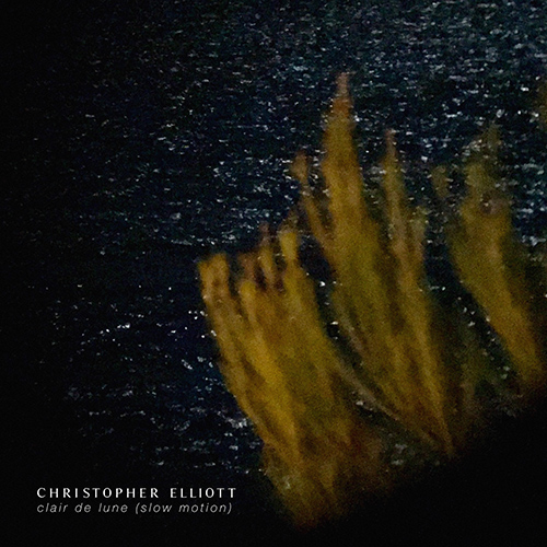 Imagen de apoyo de  DEBUSSY, C.: Suite bergamasque: III. Clair de lune (slow motion) (Elliott)
